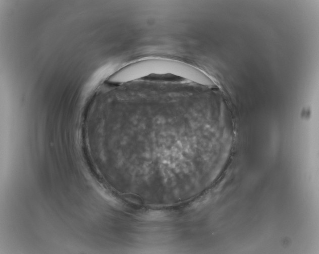 X0000090770149200708172115