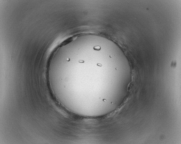 X0000090770150200708172115