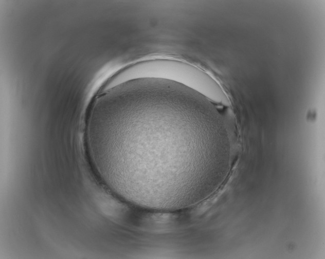 X0000090770152200708172115