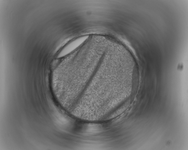 X0000090770154200708172115