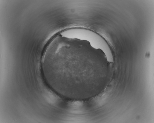 X0000090770156200708172115