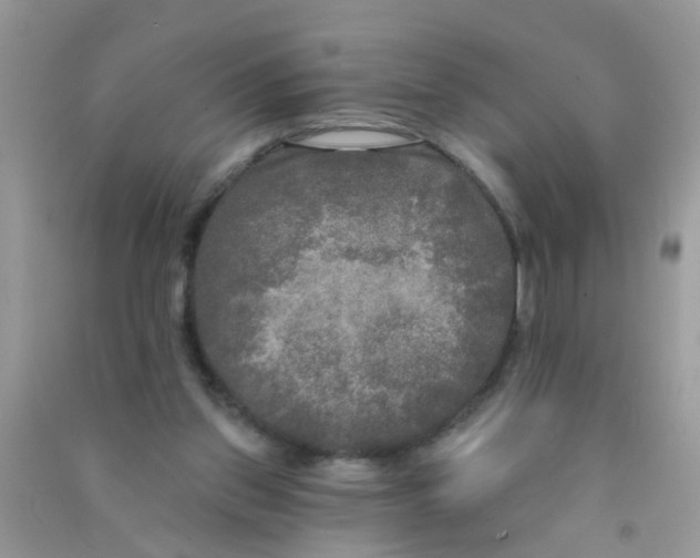 X0000090770157200708172115