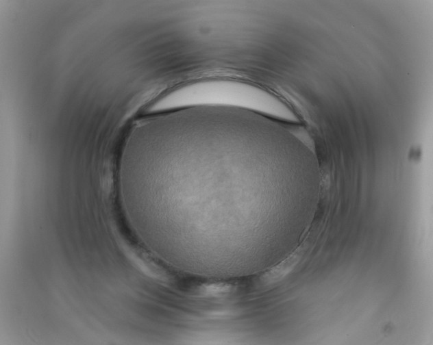 X0000090770158200708172115