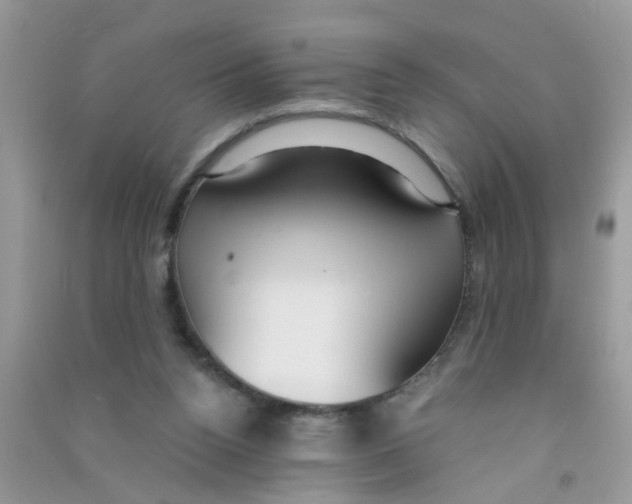 X0000090770160200708172115