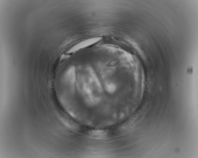X0000090770161200708172115