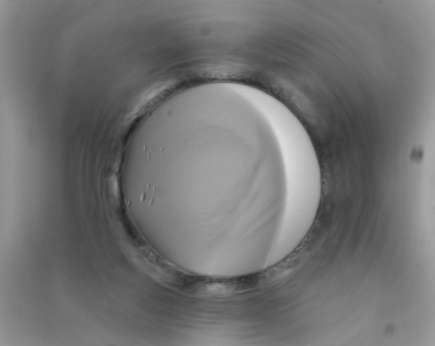 X0000090770163200708172115