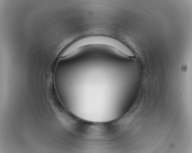 X0000090770164200708172115
