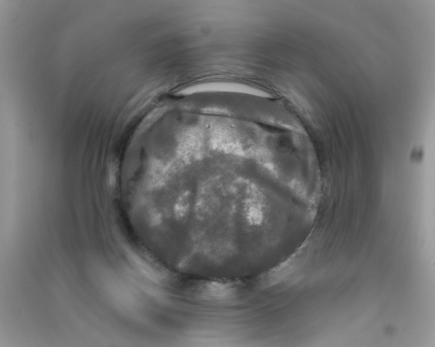 X0000090770166200708172115