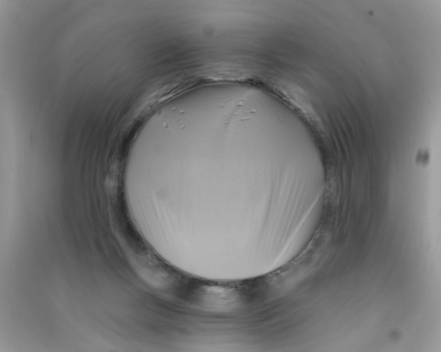 X0000090770167200708172115
