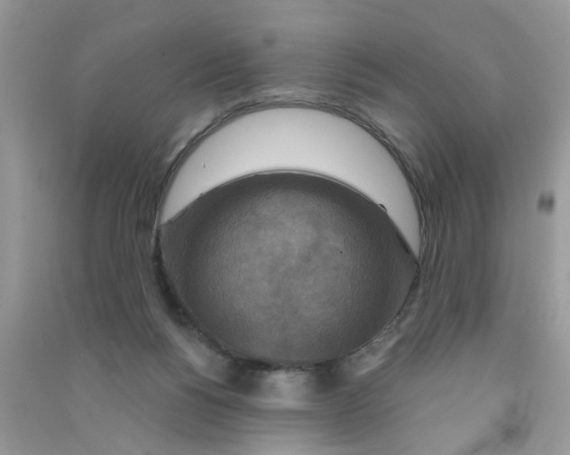 X0000090770168200708172115