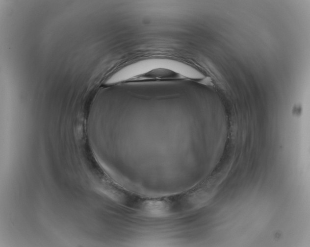 X0000090770169200708172115