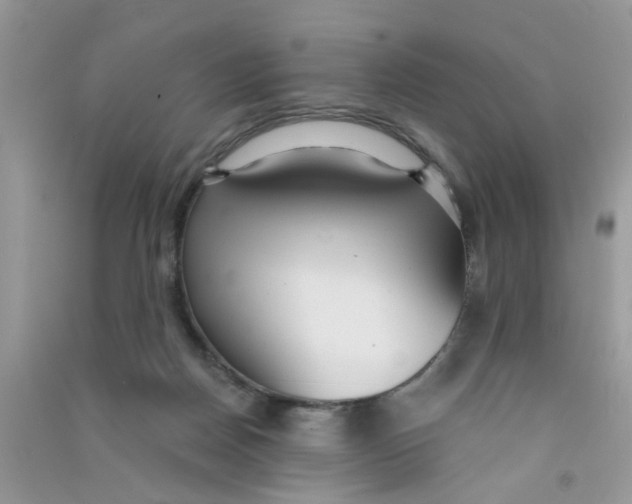 X0000090770170200708172115
