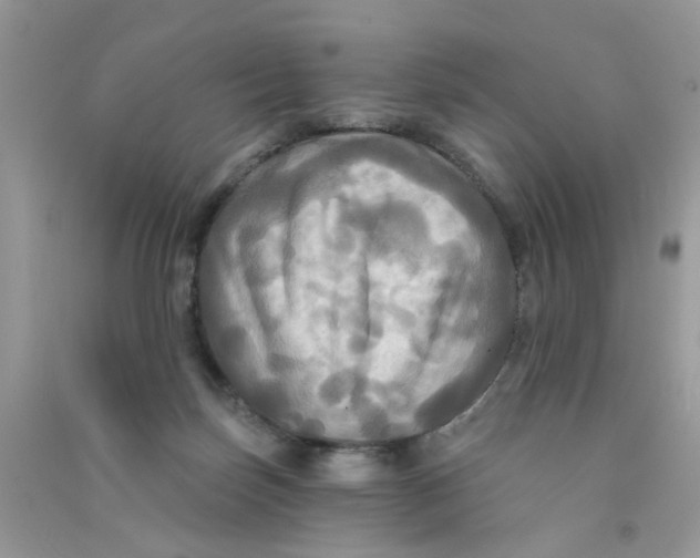 X0000090770171200708172115