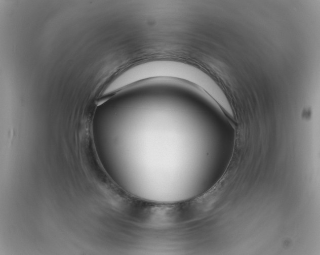 X0000090770172200708172115