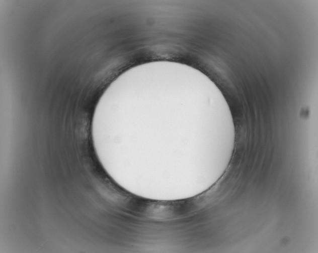 X0000090770174200708172115