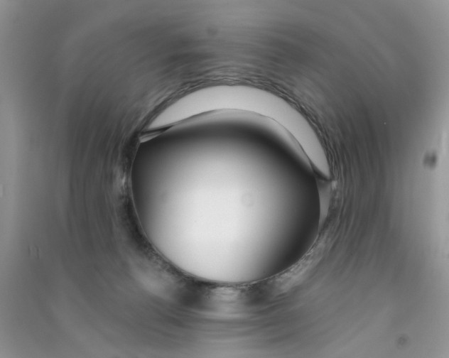 X0000090770176200708172115