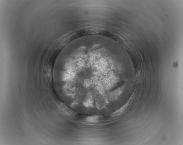 X0000090770178200708172115
