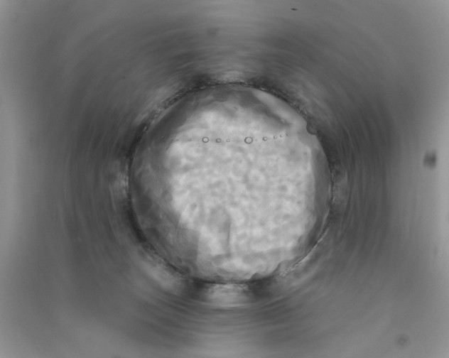 X0000090770179200708172115
