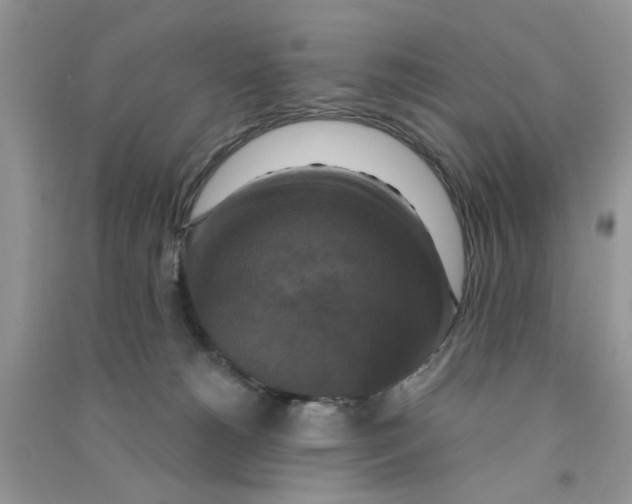 X0000090770180200708172115