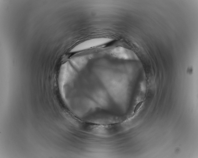 X0000090770182200708172115