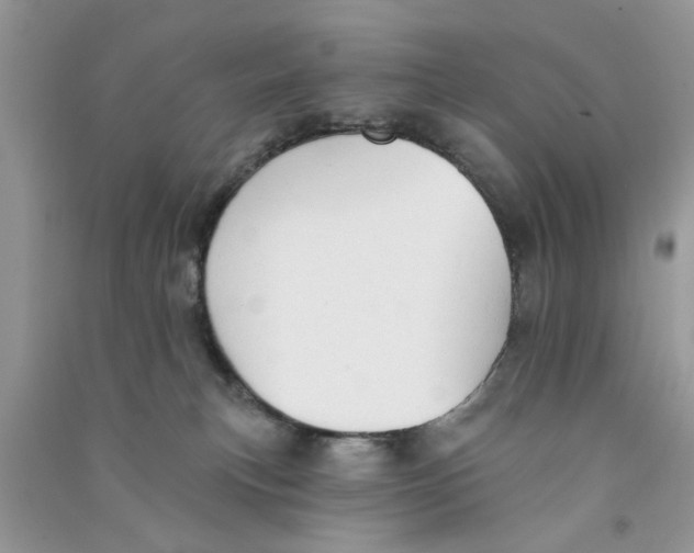 X0000090770183200708172115