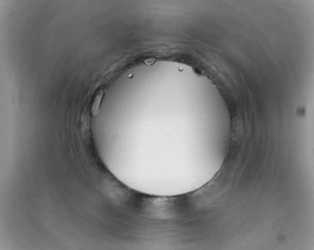 X0000090770184200708172115