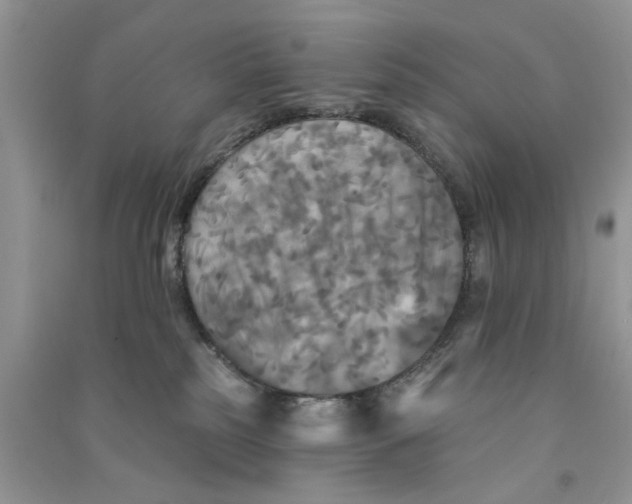 X0000090770185200708172115