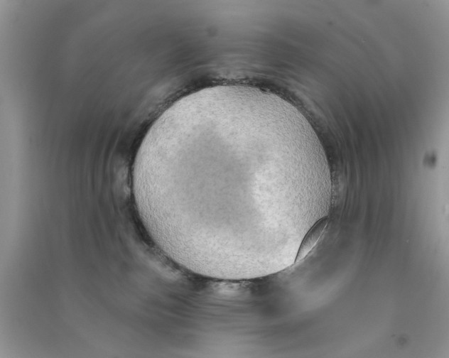 X0000090770187200708172115