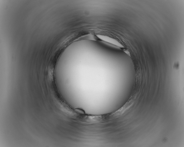 X0000090770188200708172115