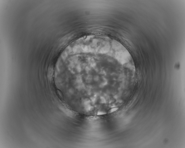 X0000090770189200708172115