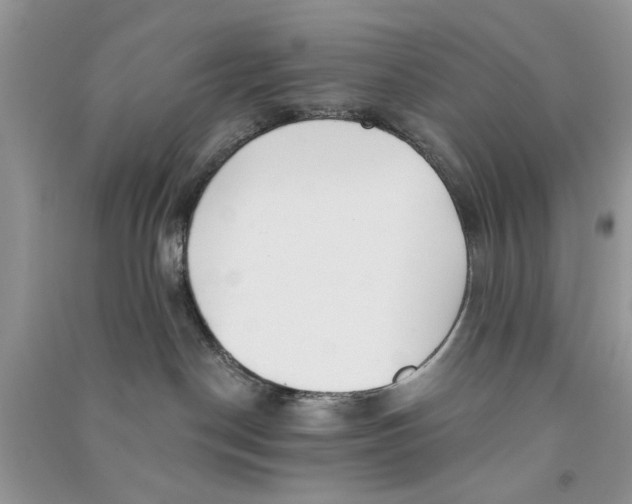 X0000090770190200708172115