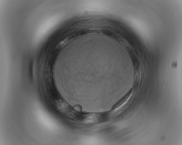 X0000090770191200708172115