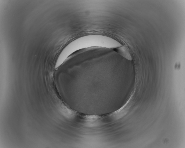 X0000090770192200708172115