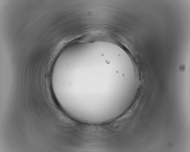 X0000090770193200708172115