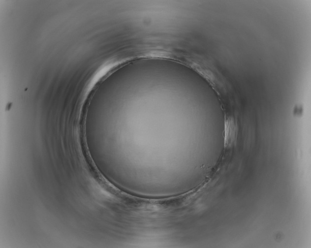 X0000090770195200708172115