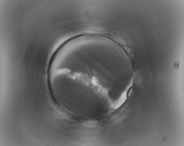 X0000090770196200708172115