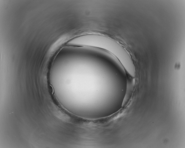 X0000090770197200708172115