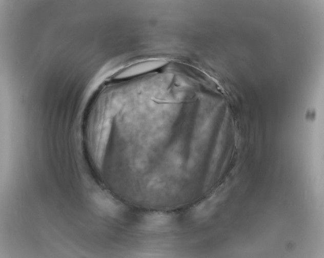 X0000090770198200708172115