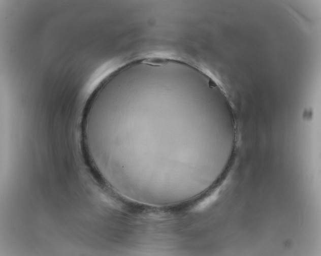 X0000090770199200708172115