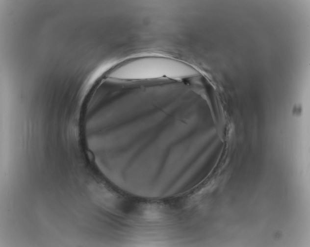 X0000090770200200708172114