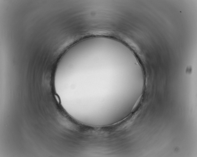 X0000090770201200708172114