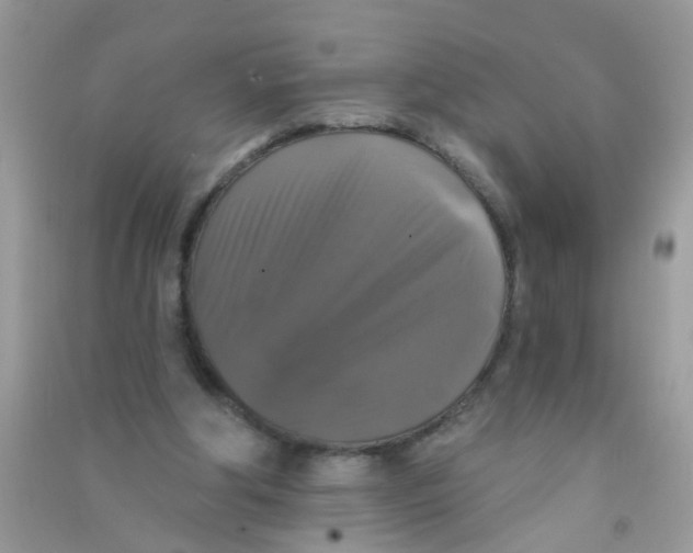 X0000090770202200708172114