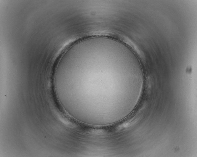 X0000090770203200708172114