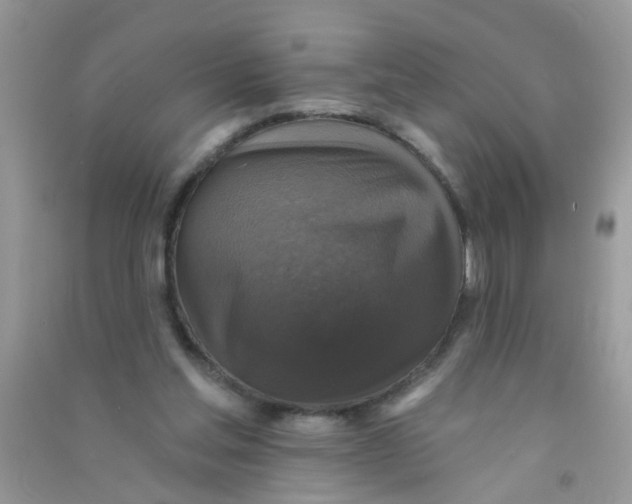 X0000090770205200708172114