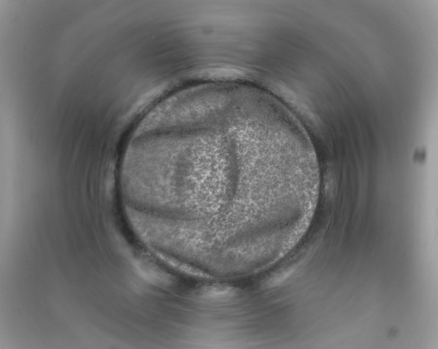 X0000090770206200708172114