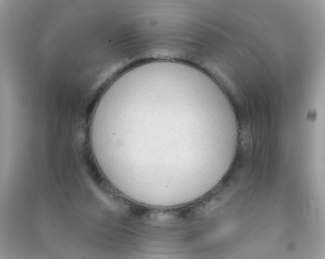X0000090770208200708172114