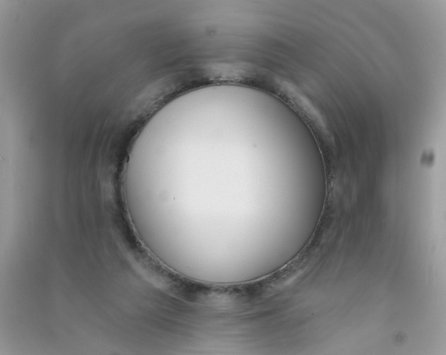 X0000090770209200708172114