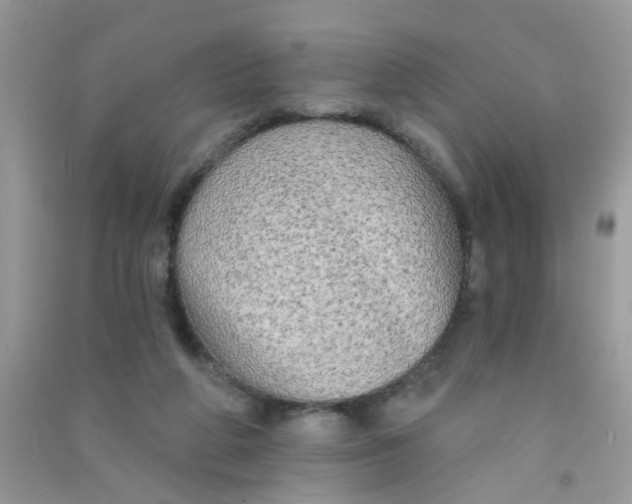X0000090770210200708172114
