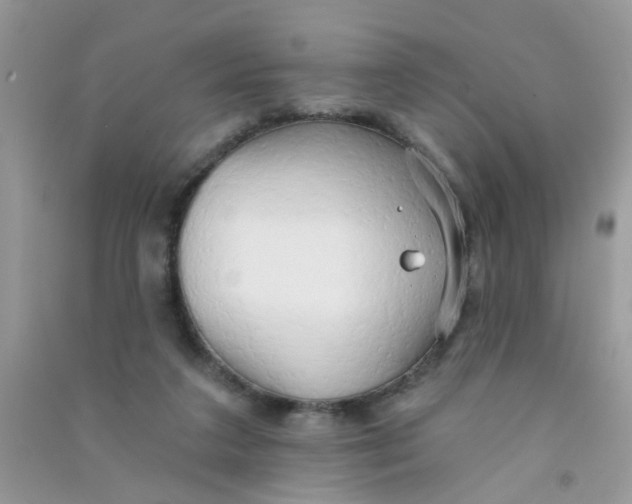 X0000090770211200708172114