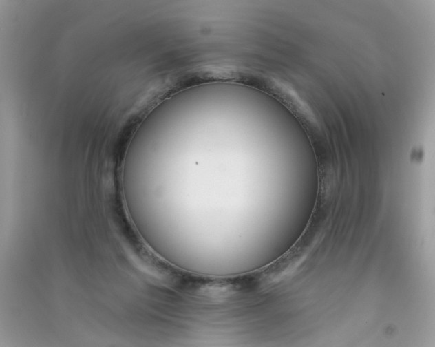 X0000090770213200708172114